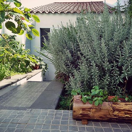 Casa Da Corisca Villa วิลา เฟรนคา โด คัมโป ภายนอก รูปภาพ